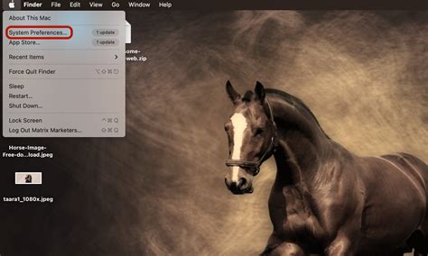 Image result for QuickTime Player Subtitles Button