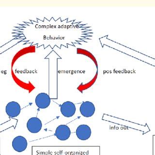 Image result for Complex Adaptive System Line Graph