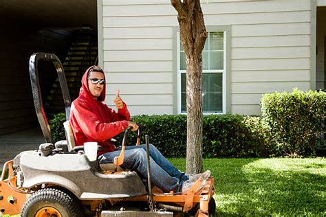 80+ Mexican Lawn Mower Stockfoto's, afbeeldingen en royalty-free ...