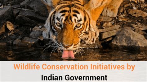 Conservation Initiatives Led by Indian Reservations