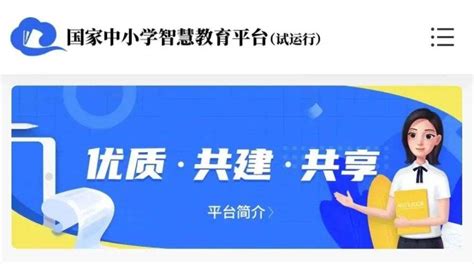 去年20.22亿人次访问，国家中小学网络云平台亮“成绩单”_京报网