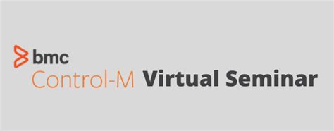 BMC Control-M Training 的图像结果