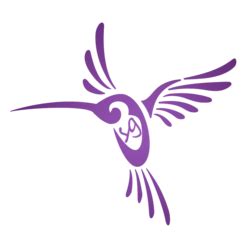 Air Quality Monitoring at IIT Hyderabad