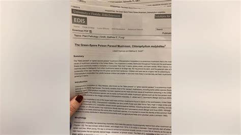 Florida dog dies after eating poisonous 'fairy ring' mushroom, owner ...