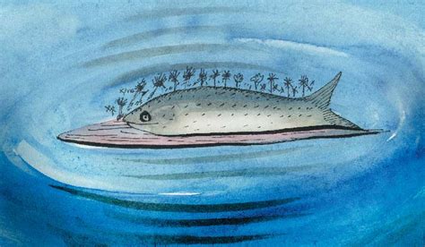 Praful Patel missed cultural fine print in Maldivian policy, says R ...