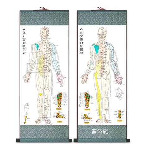 Buy Zzooi Set of 2 Human Body Acupuncture Point Meridians and ...