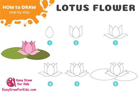 Lotus Flower Drawing Tutorial