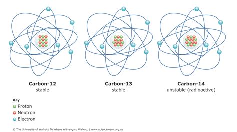 What Word Describes Carbon 12 And Carbon 14