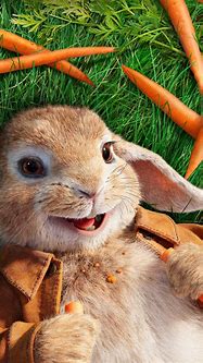 Image result for Wallpaper for PC Rabbit Baby