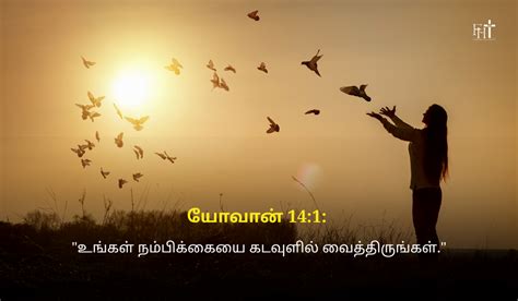 Faith Bible Verses in Tamil for Prayer & Meditation – Finding His Truth