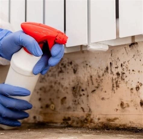 Image result for Mold Remediation Testing