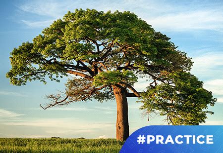 Image result for TreeSet Java