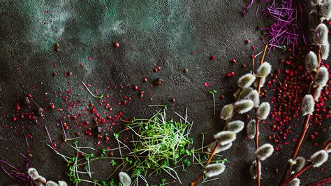 Download wallpaper 2560x1440 osier, plants, spices, texture widescreen ...