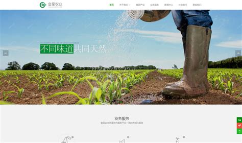 农业种植网站模板-雕龙网