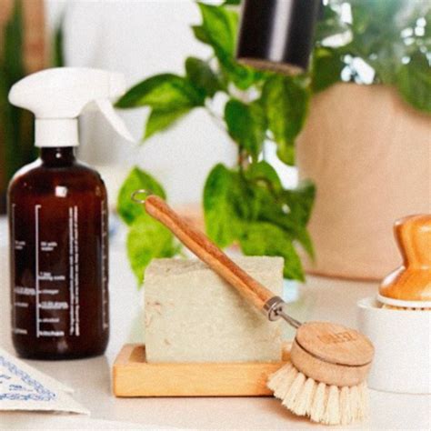 Image result for Zero Waste Cleaning