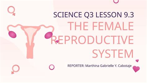 Image result for Reproductive System Grade 10