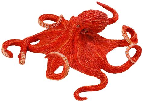 Image result for Octopus Metaheuristic Algorithm