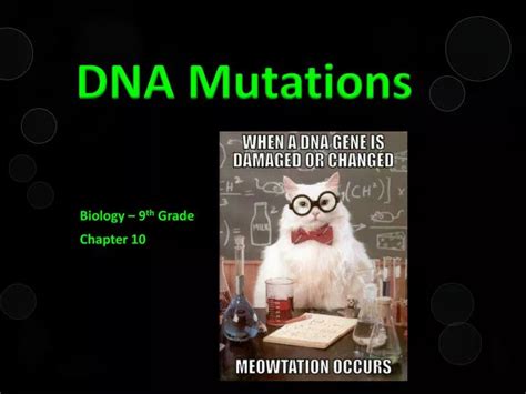 Crash Course DNA Mutations 的图像结果