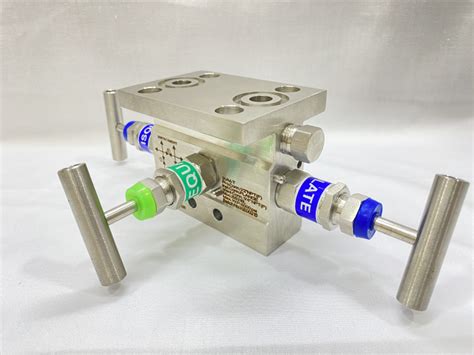 3 Way Manifold Valves Manufacturer, Exporter & Supplier from ...