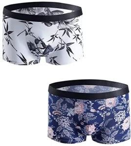 Prime Poster Men Brief - Buy Prime Poster Men Brief Online at Best ...