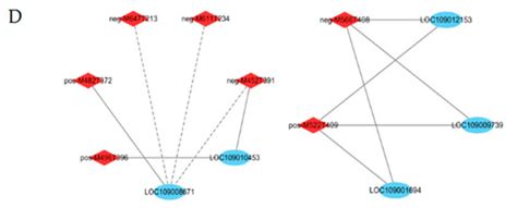 Metabolomics and Transcriptomics Analyses Reveals the Molecular ...