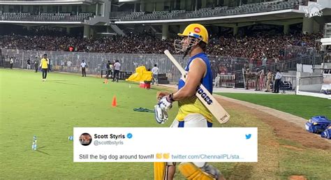 “Still the big dog around town!!” – Scott Styris reacts to MS Dhoni's ...