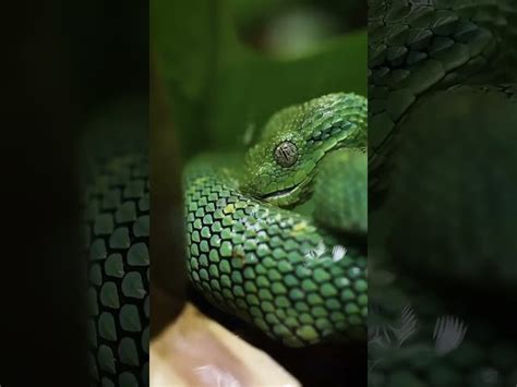 The Best Foods That Won't Spike Your Blood Sugar: A Comprehensive ...