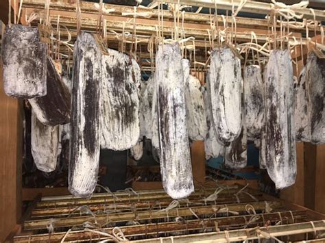 HATECKE (2025) All You Need to Know BEFORE You Go (with Photos ...