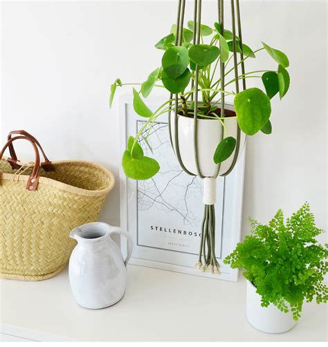 Image result for Macrame Blog