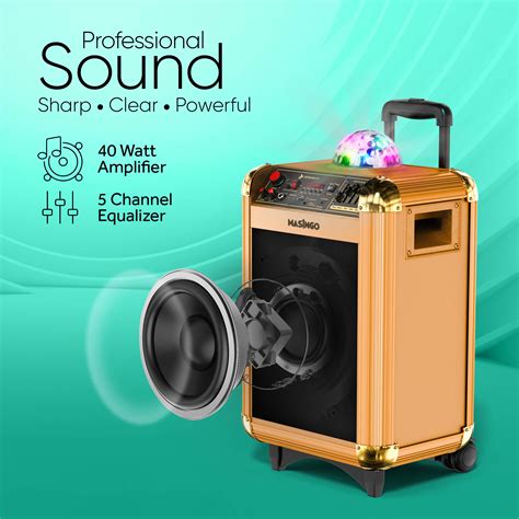 Buy MASINGO Karaoke Machine with 2 UHF Wireless Microphones for Adults ...