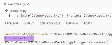 Image result for Raw Python Code File