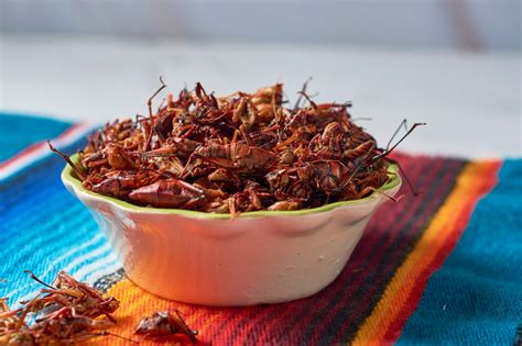 Chapulines: La Delicia de la Gastronomía Oaxaqueña que Sorprende al ...