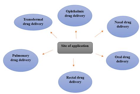 Fig. 3: Drug delivery approaches