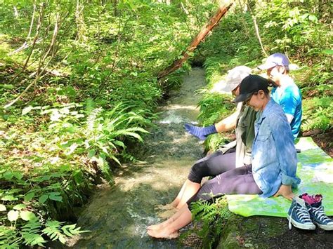 Shinshu Shinanomachi Forest Therapy (Shinano-machi) - All You Need to ...