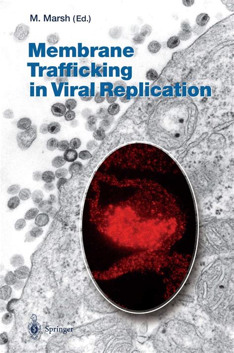 Buy Membrane Trafficking in Viral Replication: 285 (Current Topics in ...