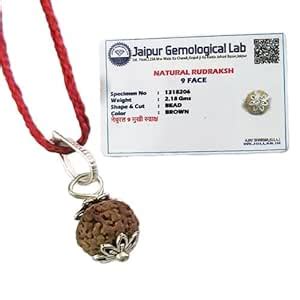 Original 9 Mukhi Rudraksha (Nepal Origin) – Certified & Energized Bead ...