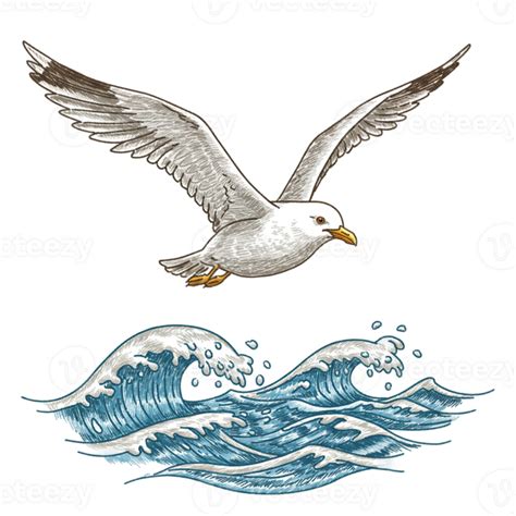 Seagull Soaring Above Ocean Waves Artistic Drawing Illustration Sky ...