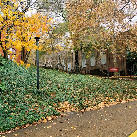 Vanderbilt University - Admission Requirements, SAT, ACT, GPA and ...