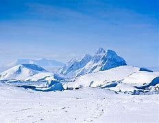 Image result for Antarctic