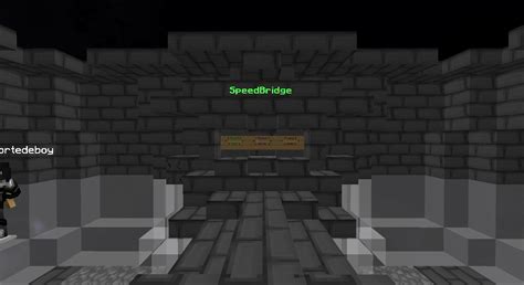 +SpeedBridge Practice Server 的图像结果
