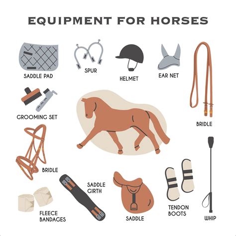 Equipment for horses infographic educational card. Horse Riding Tack ...