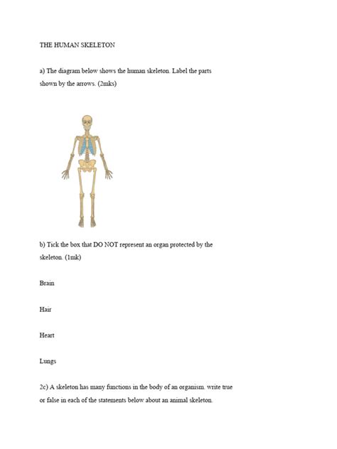Image result for Basic Human Skeleton PDF