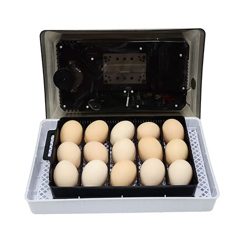 Incubator For Eggs Cheap For 15 Eggs Chicken Incubator Home ...