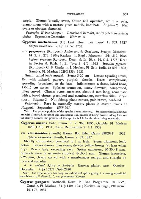 Herbarium JCB