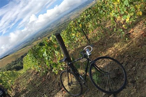 IL MOLINELLO (2025) All You Need to Know BEFORE You Go (with Photos ...