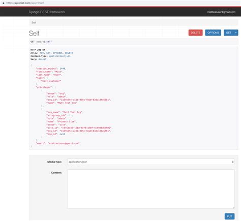 Web Dev Simplified API 的图像结果