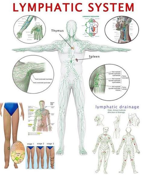 IMPROVISATION OF LYMPHATIC DRAINAGE SYSTEM OF OUR BODY