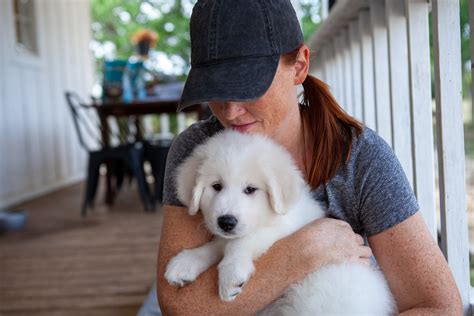 Are Great Pyrenees Good House Dogs