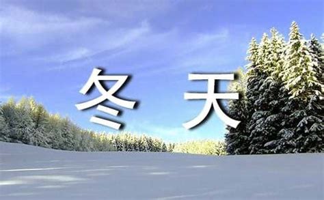 【热门】冬天的作文300字6篇