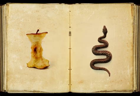 The Biblical Significance of the Bird of Paradise: A Divine Symbol of ...